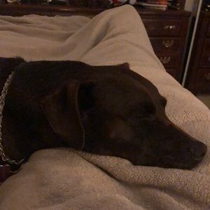 Meet your Posher, Lynette